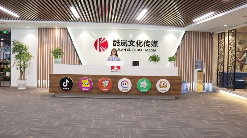 MG动画：产品宣传的创意利器，适用性解析