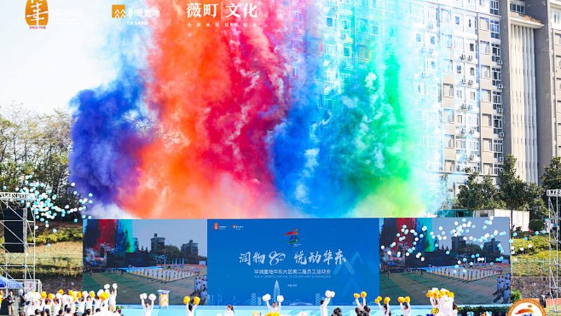 上海VI设计全套服务内容揭秘：全方位塑造品牌形象